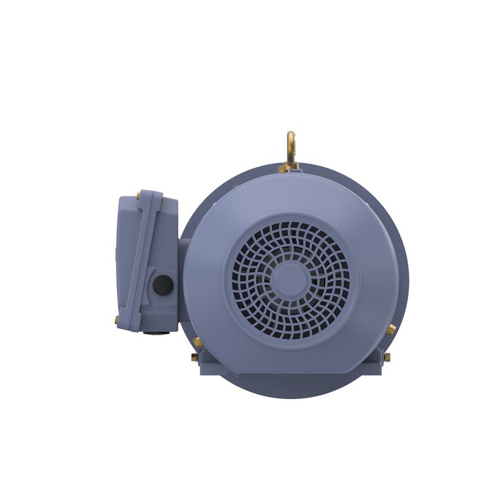 Cast Iron Motor, 4 HP, 3 Ph, 50 Hz, 400 V, 3000 RPM, 100L Frame, TEFC