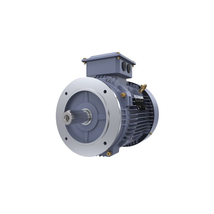 Cast Iron Motor, 7.50 HP, 3 Ph, 50 Hz, 380/660 V, 1500 RPM, 132S Frame, TEFC