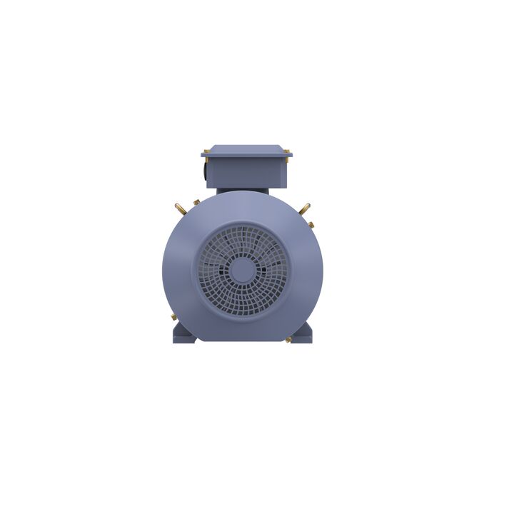 Cast Iron Motor, 7.50 HP, 3 Ph, 50 Hz, 380/660 V, 1000 RPM, 132M Frame, TEFC