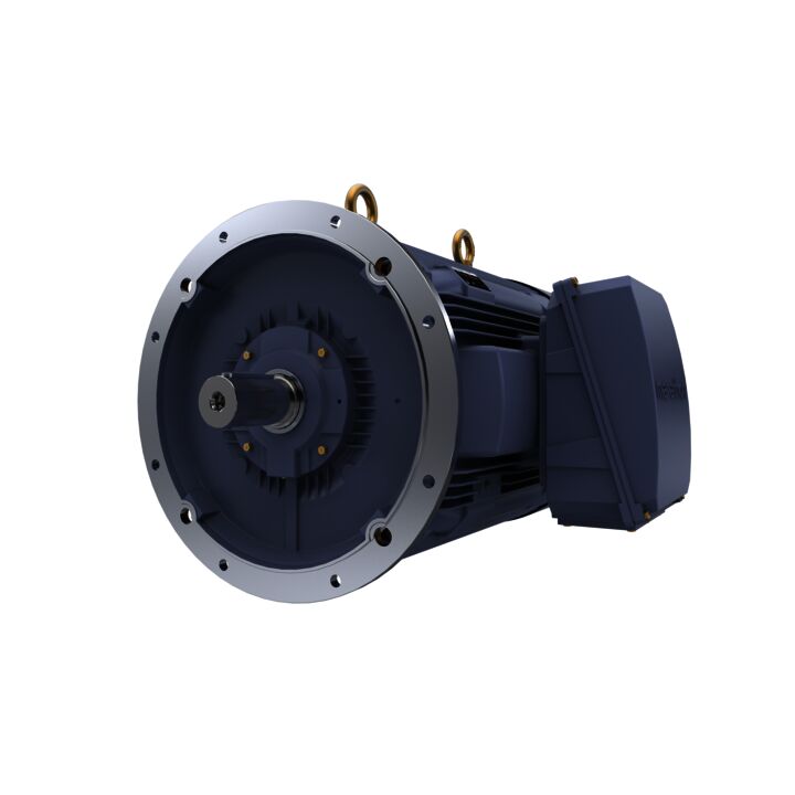 Cast Iron Motor, 503 HP, 3 Ph, 50 Hz, 415 V, 3000 RPM, 355L Frame, TEFC