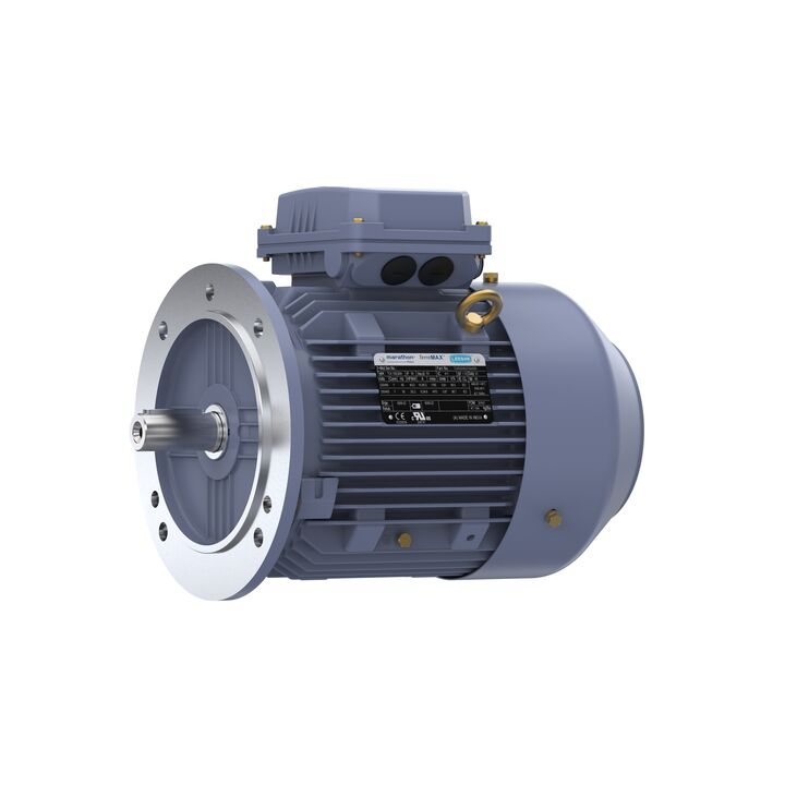 Cast Iron Motor, 3 & 2 HP, 3 Ph, 60 & 50 Hz, 230/460 & 200/400 V, 1800 & 1500 RPM, 100L Frame, TEFC