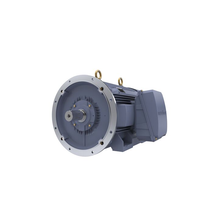 Cast Iron Motor, 150 HP, 3 Ph, 50 Hz, 400 V, 750 RPM, 355M Frame, TEFC