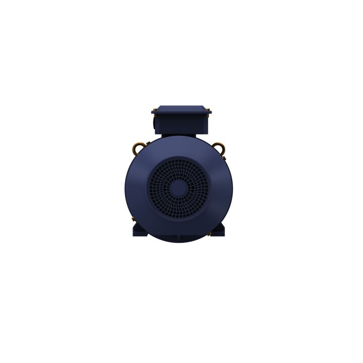 Cast Iron Motor, 7.50 HP, 3 Ph, 50 Hz, 415 V, 1000 RPM, 132M Frame, TEFC