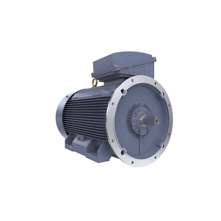 Cast Iron Motor, 150 HP, 3 Ph, 50 Hz, 380/660 V, 750 RPM, 355M Frame, TEFC