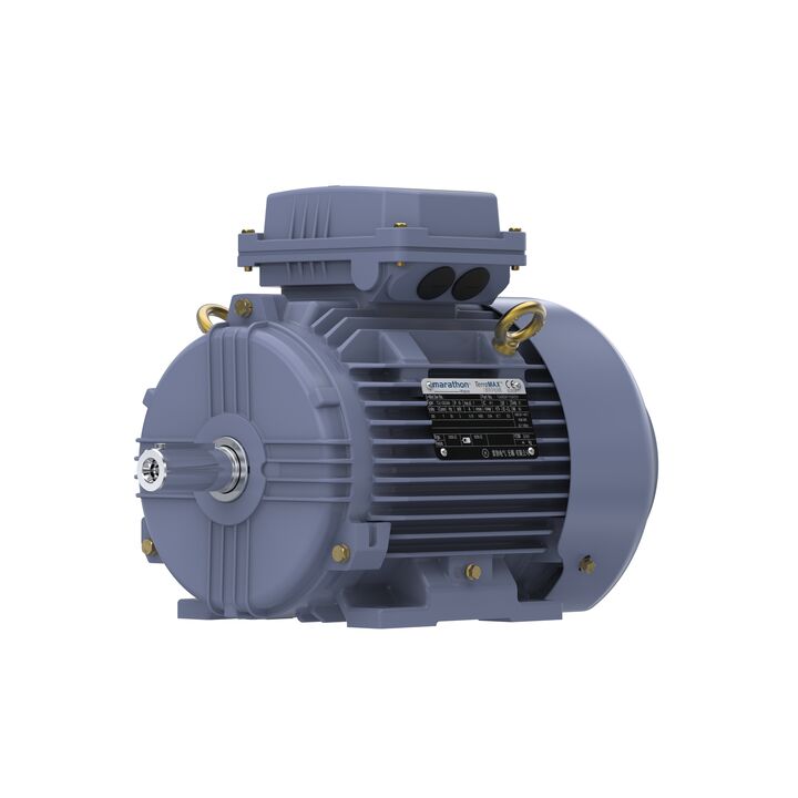 Cast Iron Motor, 4 HP, 3 Ph, 50 Hz, 380 V, 1500 RPM, 100L Frame, TEFC