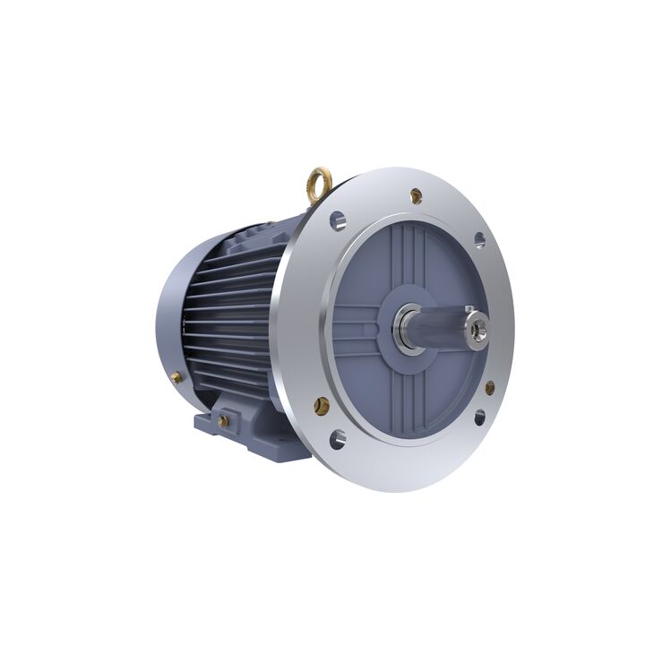 Cast Iron Motor, 4 HP, 3 Ph, 50 Hz, 400 V, 3000 RPM, 100L Frame, TEFC