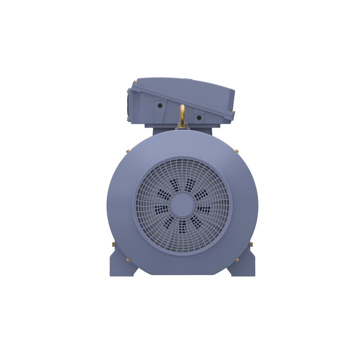 Cast Iron Motor, 150 HP, 3 Ph, 50 Hz, 380/660 V, 750 RPM, 355M Frame, TEFC