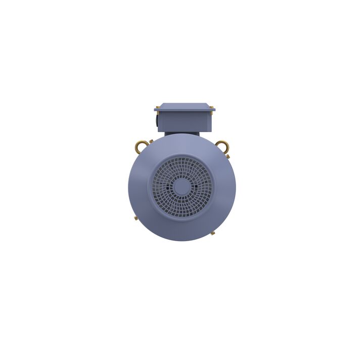 Cast Iron Motor, 7.50 HP, 3 Ph, 50 Hz, 380/660 V, 1000 RPM, 132M Frame, TEFC