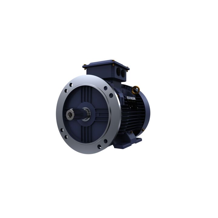 Cast Iron Motor, 7.50 HP, 3 Ph, 50 Hz, 415 V, 1000 RPM, 132M Frame, TEFC