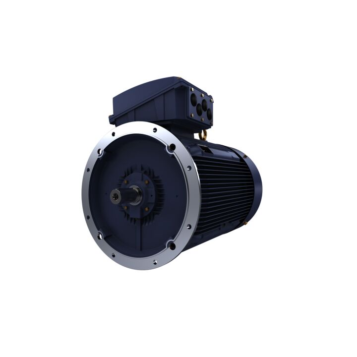 Cast Iron Motor, 215 HP, 3 Ph, 50 Hz, 380/660 V, 750 RPM, 355M Frame, TEFC