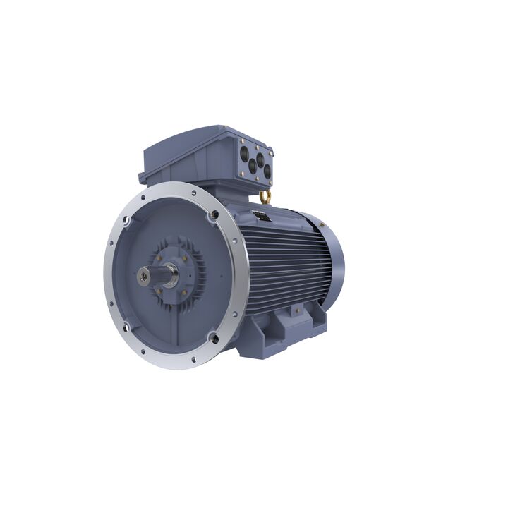 Cast Iron Motor, 150 HP, 3 Ph, 50 Hz, 380/660 V, 750 RPM, 355M Frame, TEFC