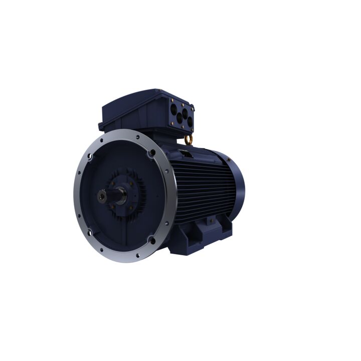 Cast Iron Motor, 250 HP, 3 Ph, 50 Hz, 400 V, 750 RPM, 355M Frame, TEFC