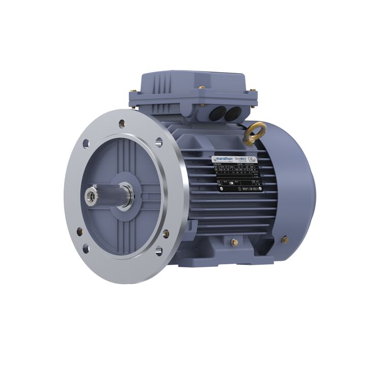 Cast Iron Motor, 4 HP, 3 Ph, 50 Hz, 380 V, 3000 RPM, 100L Frame, TEFC