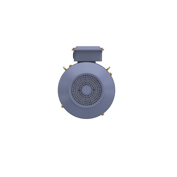 Cast Iron Motor, 10 HP, 3 Ph, 50 Hz, 400 V, 3000 RPM, 132S Frame, TEFC