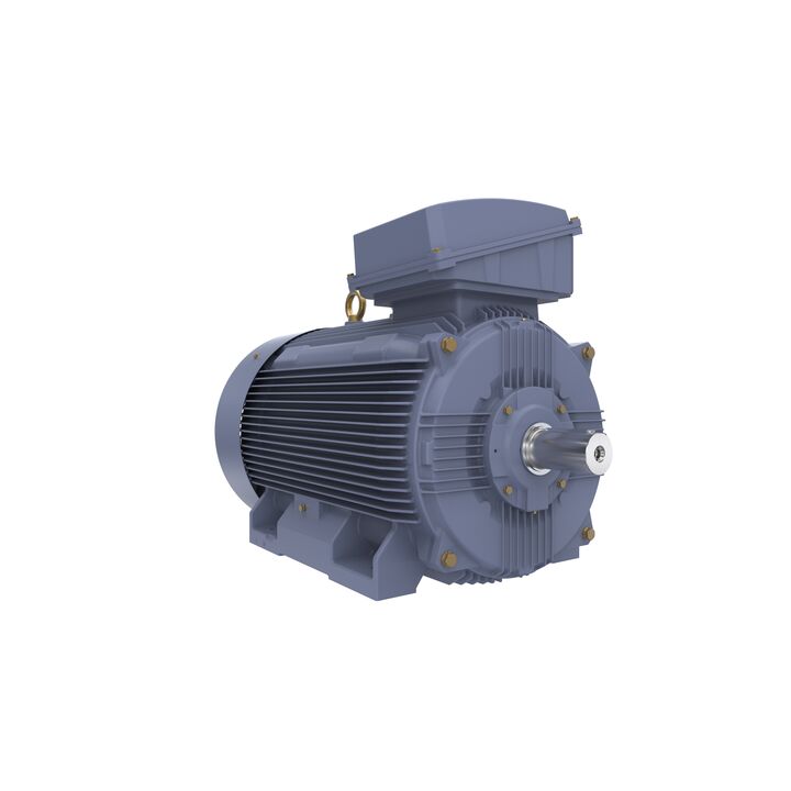 Cast Iron Motor, 150 HP, 3 Ph, 50 Hz, 380/660 V, 750 RPM, 355M Frame, TEFC