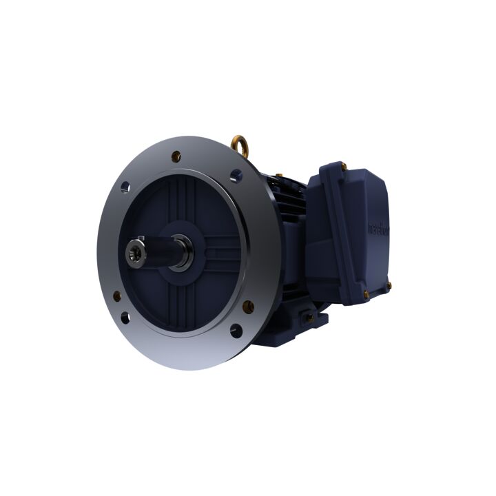 Cast Iron Motor, 4 HP, 3 Ph, 50 Hz, 415 V, 1500 RPM, 100L Frame, TEFC