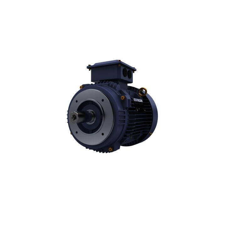 Cast Iron Motor, 10 HP, 3 Ph, 50 Hz, 415 V, 1500 RPM, 132M Frame, TEFC