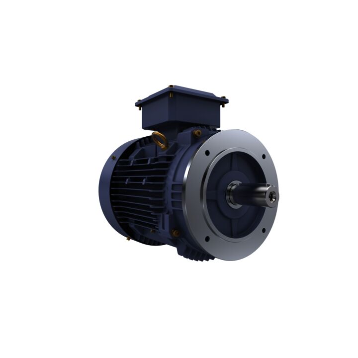 Cast Iron Motor, 7.50 HP, 3 Ph, 50 Hz, 400 V, 1500 RPM, 132S Frame, TEFC