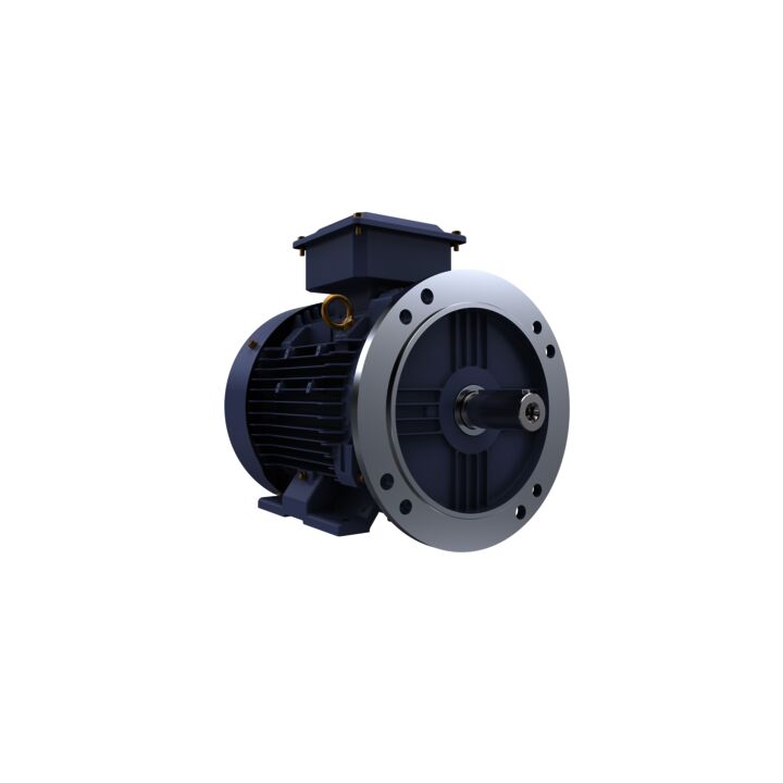 Cast Iron Motor, 7.50 HP, 3 Ph, 50 Hz, 415 V, 1000 RPM, 132M Frame, TEFC