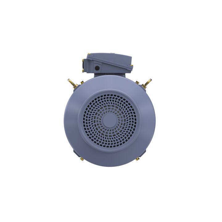 Cast Iron Motor, 40 HP, 3 Ph, 50 Hz, 380 V, 1500 RPM, 200L Frame, TEFC