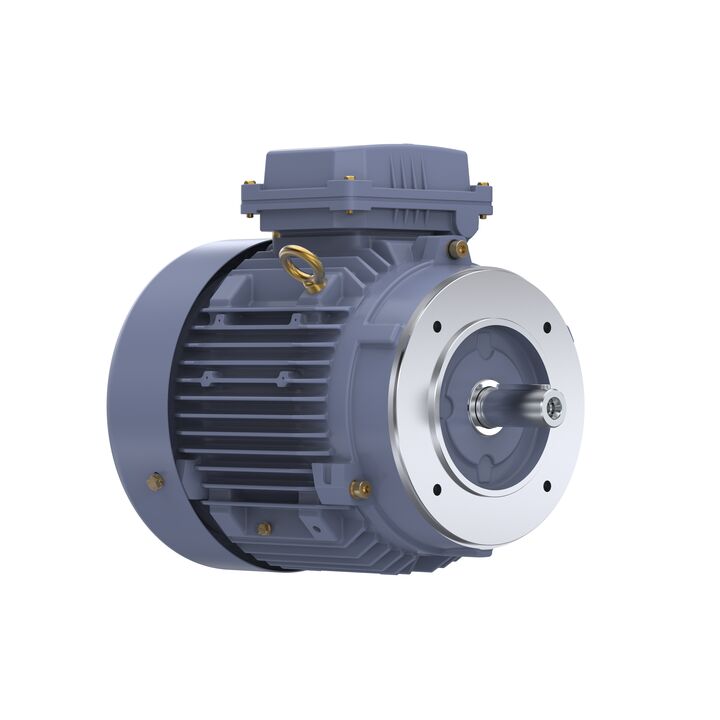 Cast Iron Motor, 5.50 HP, 3 Ph, 50 Hz, 380 V, 1500 RPM, 112M Frame, TEFC