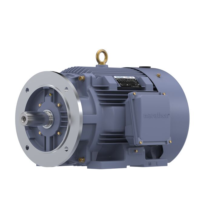 Cast Iron Motor, 15 HP, 3 Ph, 50 Hz, 380 V, 750 RPM, 180L Frame, TEFC