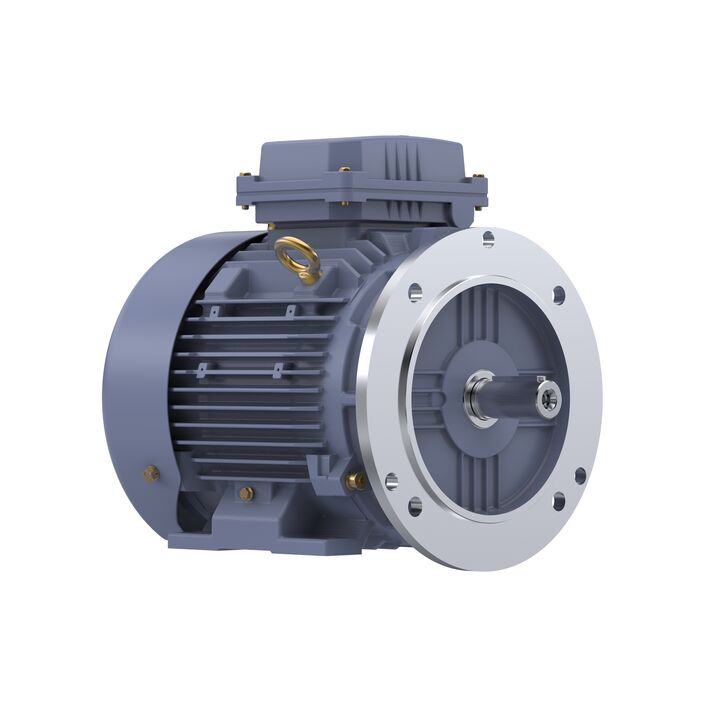 Cast Iron Motor, 5.50 HP, 3 Ph, 50 Hz, 380 V, 1500 RPM, 112M Frame, TEFC
