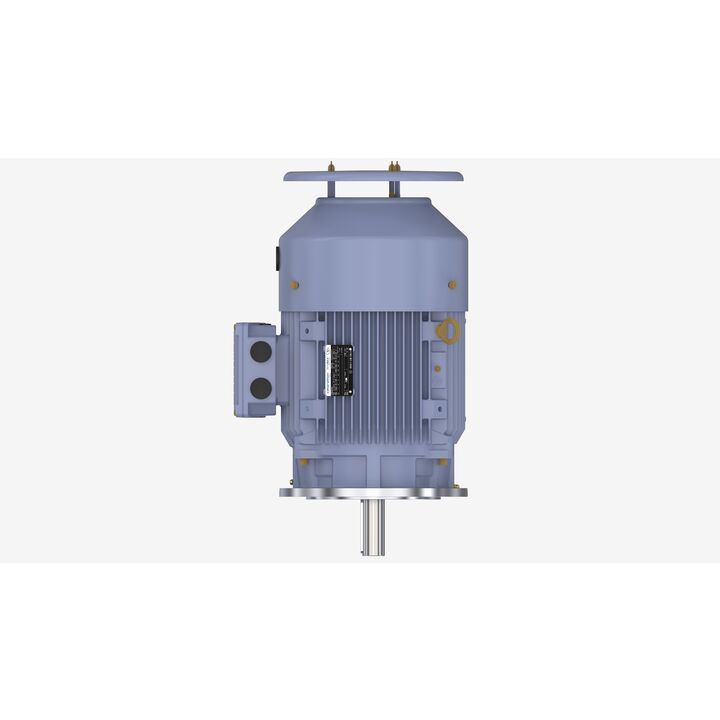 Cast Iron Motor, 15 HP, 3 Ph, 50 Hz, 380 V, 3000 RPM, 160M Frame, TEFC