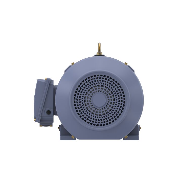 Cast Iron Motor, 40 HP, 3 Ph, 50 Hz, 380 V, 1500 RPM, 200L Frame, TEFC