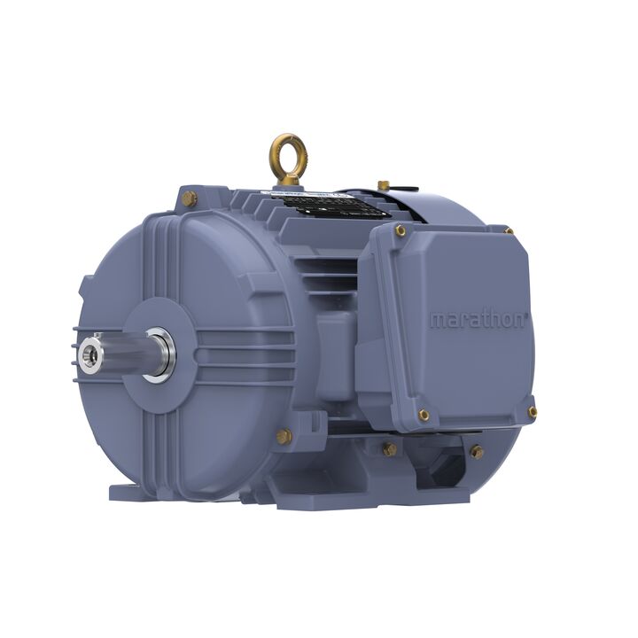 Cast Iron Motor, 5.50 HP, 3 Ph, 50 Hz, 380 V, 3000 RPM, 112M Frame, TEFC