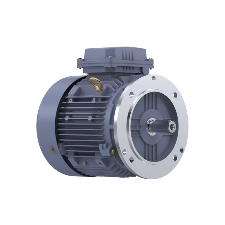 Cast Iron Motor, 5.50 HP, 3 Ph, 50 Hz, 380 V, 1500 RPM, 112M Frame, TEFC