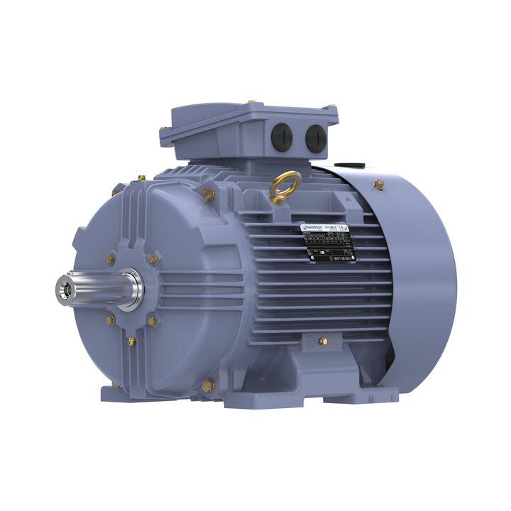 Cast Iron Motor, 15 HP, 3 Ph, 50 Hz, 380 V, 1000 RPM, 160L Frame, TEFC