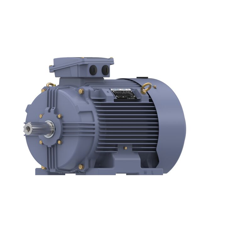 Cast Iron Motor, 25 HP, 3 Ph, 50 Hz, 380 V, 1500 RPM, 180M Frame, TEFC