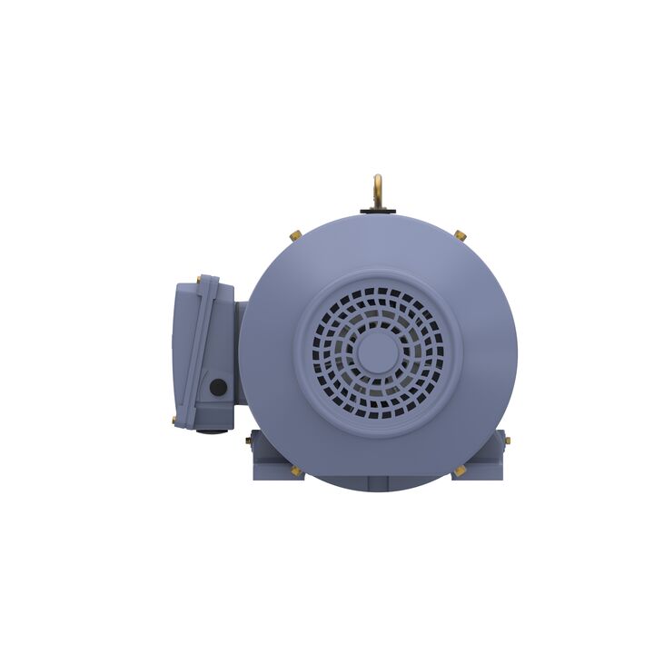 Cast Iron Motor, 15 HP, 3 Ph, 50 Hz, 400 V, 1000 RPM, 160L Frame, TEFC