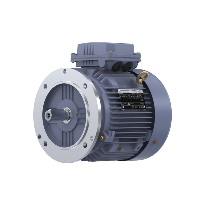 Cast Iron Motor, 5.50 HP, 3 Ph, 50 Hz, 380 V, 3000 RPM, 112M Frame, TEFC
