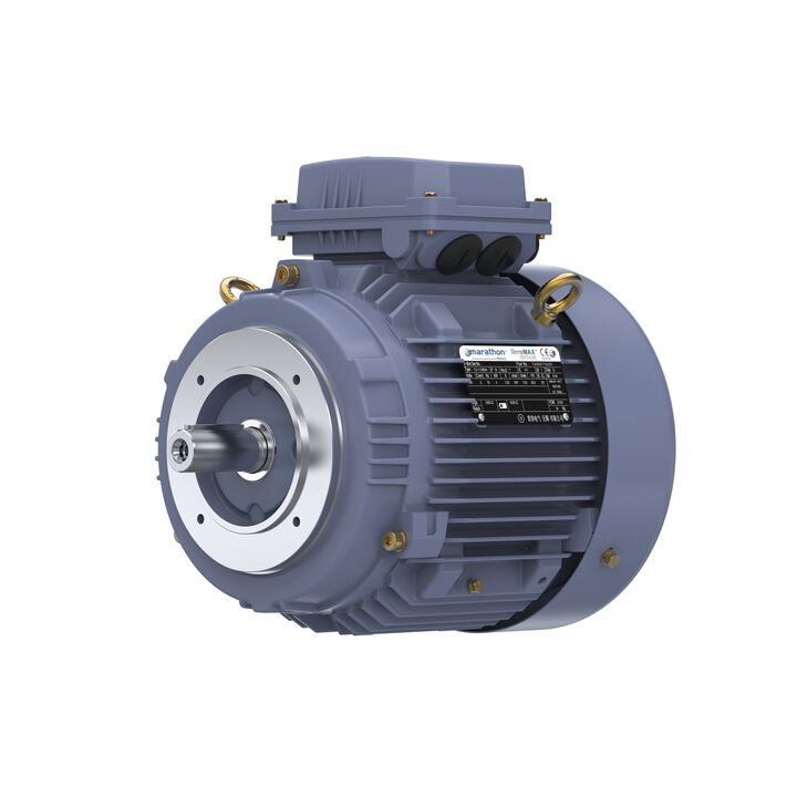 Cast Iron Motor, 5.50 HP, 3 Ph, 50 Hz, 380 V, 3000 RPM, 112M Frame, TEFC