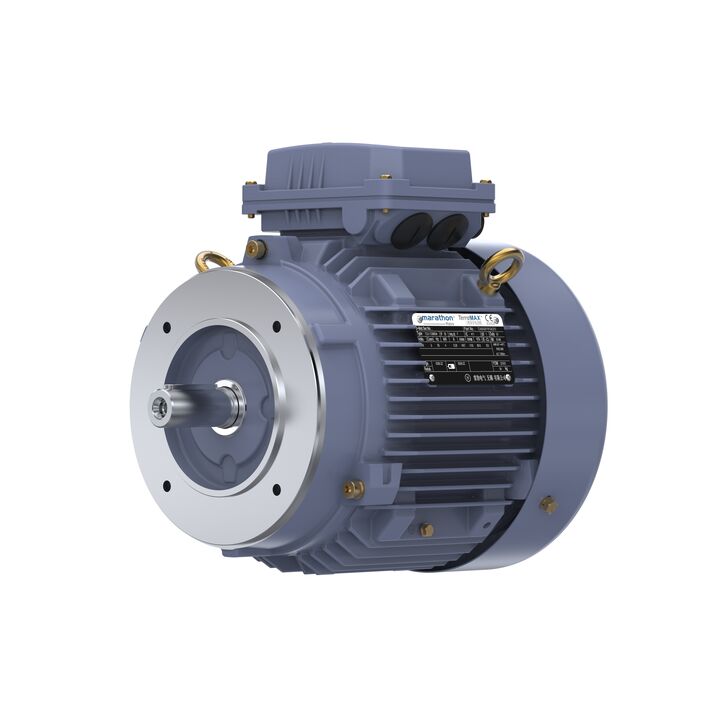 Cast Iron Motor, 5.50 HP, 3 Ph, 50 Hz, 380 V, 3000 RPM, 112M Frame, TEFC