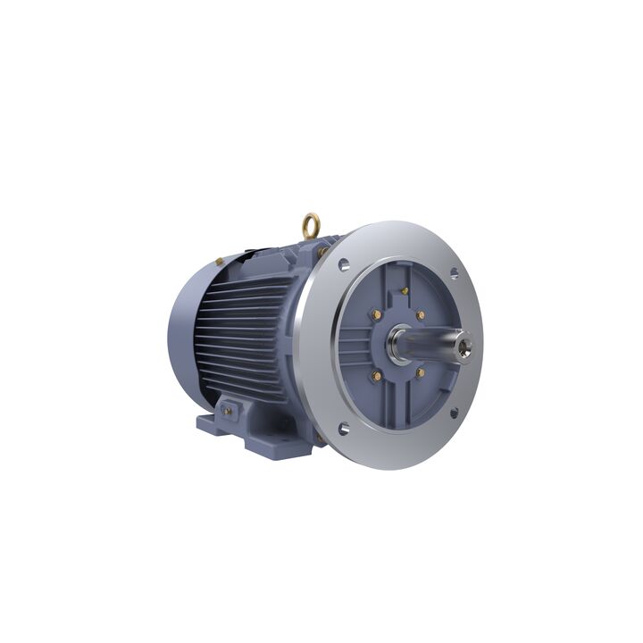 Cast Iron Motor, 15 HP, 3 Ph, 50 Hz, 400 V, 1000 RPM, 160L Frame, TEFC