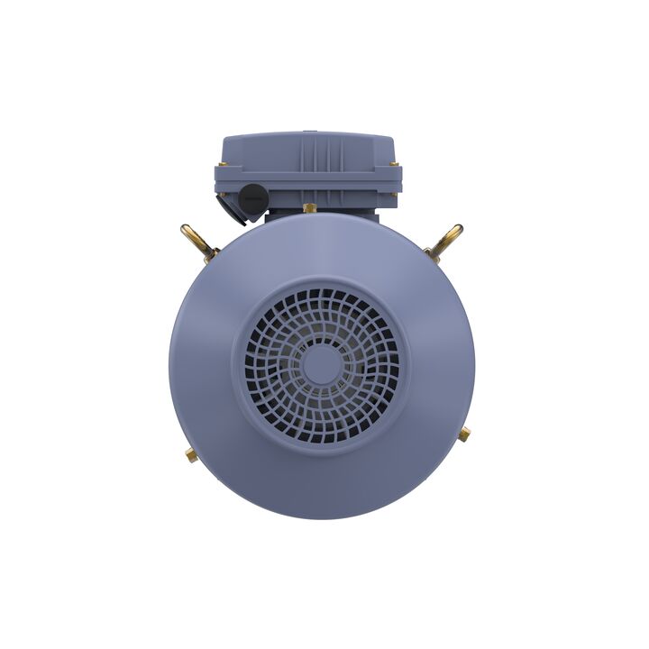 Cast Iron Motor, 5.50 HP, 3 Ph, 50 Hz, 380 V, 1500 RPM, 112M Frame, TEFC