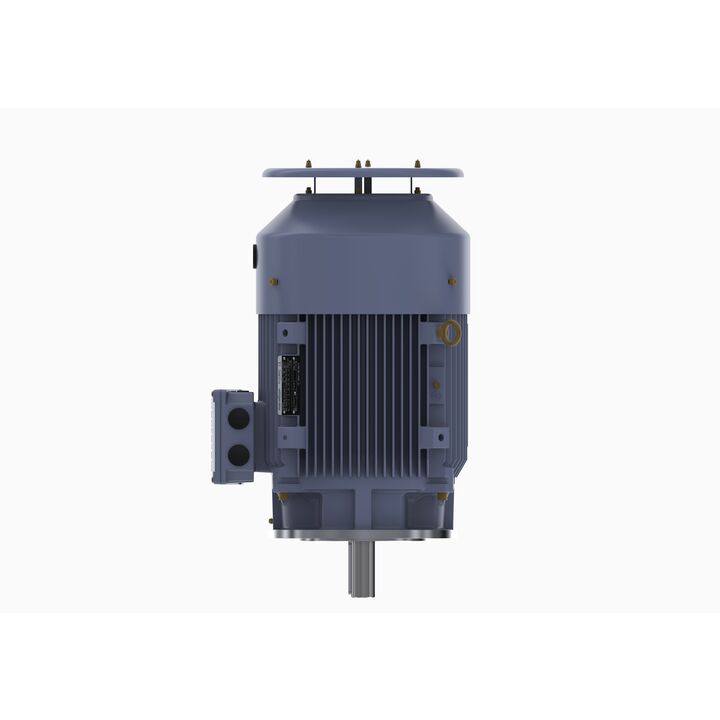 Cast Iron Motor, 15 HP, 3 Ph, 50 Hz, 380 V, 750 RPM, 180L Frame, TEFC