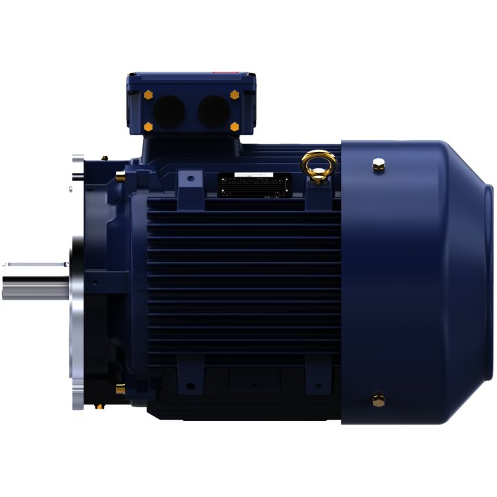 Cast Iron Motor, 40 HP, 3 Ph, 50 Hz, 400 V, 1500 RPM, 200L Frame, TEFC