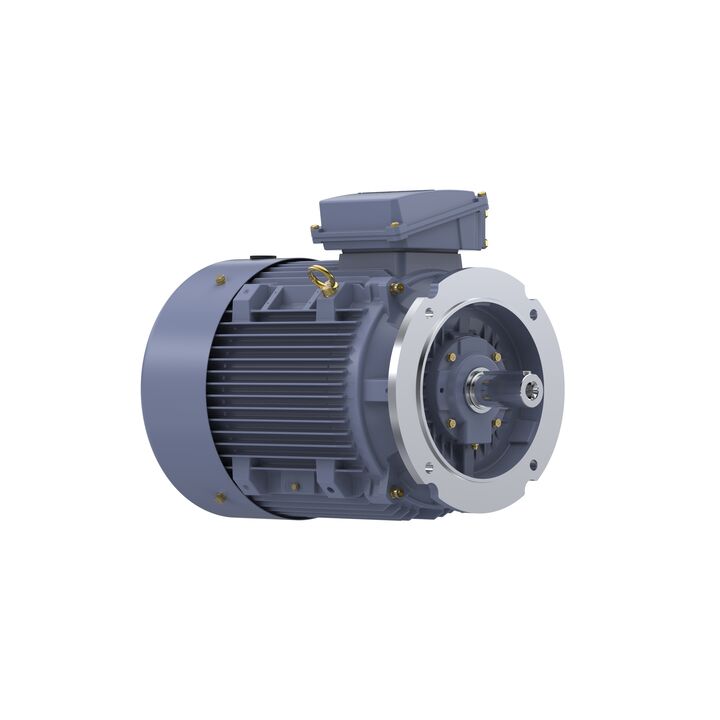 Cast Iron Motor, 50 HP, 3 Ph, 50 Hz, 380 V, 3000 RPM, 200L Frame, TEFC