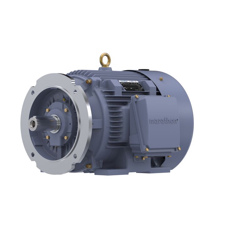 Cast Iron Motor, 50 HP, 3 Ph, 50 Hz, 380 V, 3000 RPM, 200L Frame, TEFC
