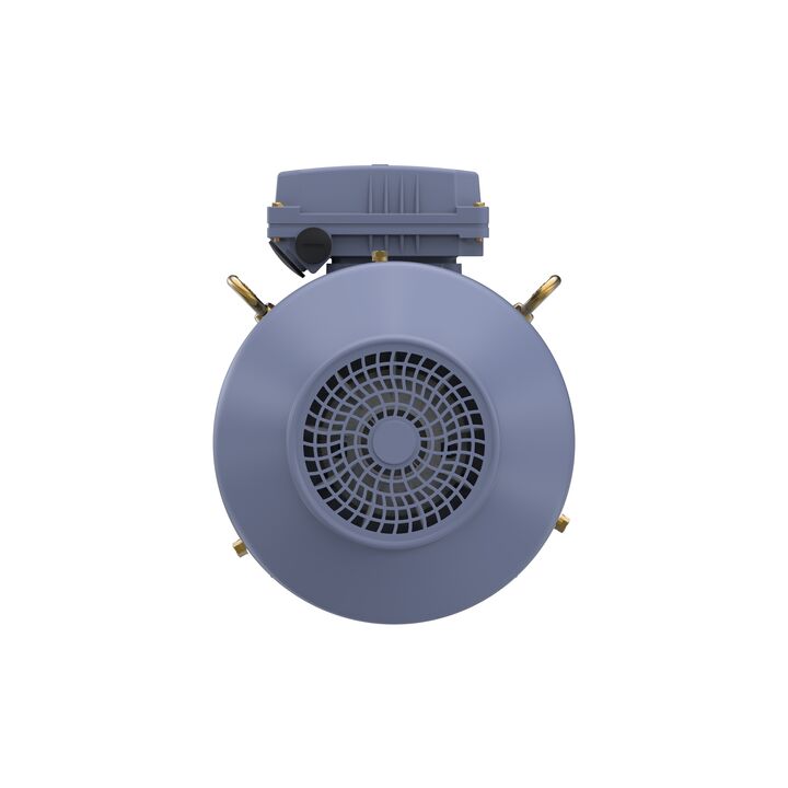 Cast Iron Motor, 5.50 HP, 3 Ph, 50 Hz, 380 V, 1500 RPM, 112M Frame, TEFC