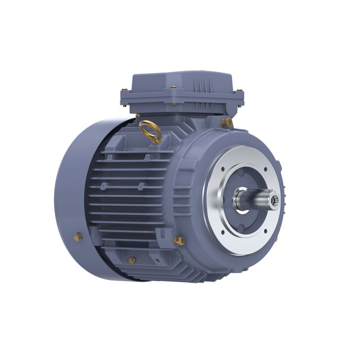 Cast Iron Motor, 5.50 HP, 3 Ph, 50 Hz, 380 V, 1500 RPM, 112M Frame, TEFC