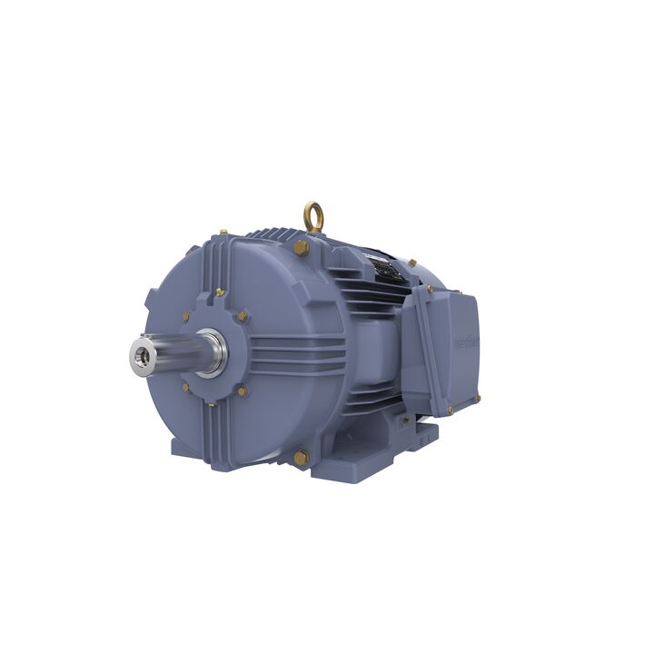 Cast Iron Motor, 15 HP, 3 Ph, 50 Hz, 400 V, 750 RPM, 180L Frame, TEFC