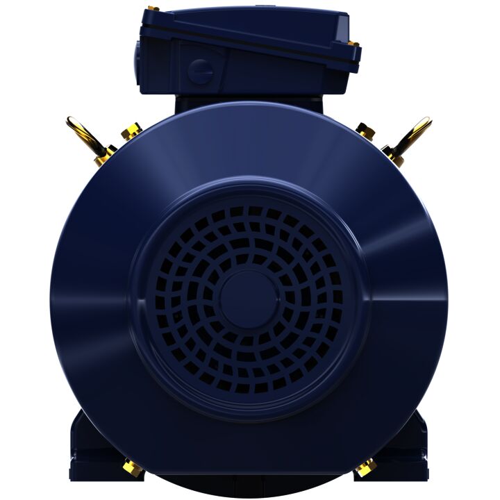 Cast Iron Motor, 15 & 10 HP, 3 Ph, 60 & 50 Hz, 230/460 & 200/400 V, 3600 & 3000 RPM, 160M Frame, TEFC