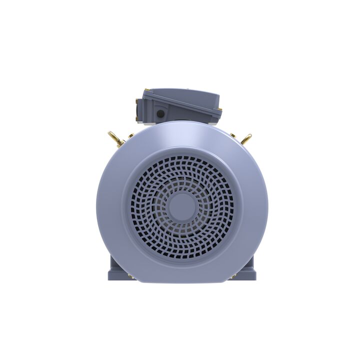 Cast Iron Motor, 40 HP, 3 Ph, 50 Hz, 380 V, 1500 RPM, 200L Frame, TEFC