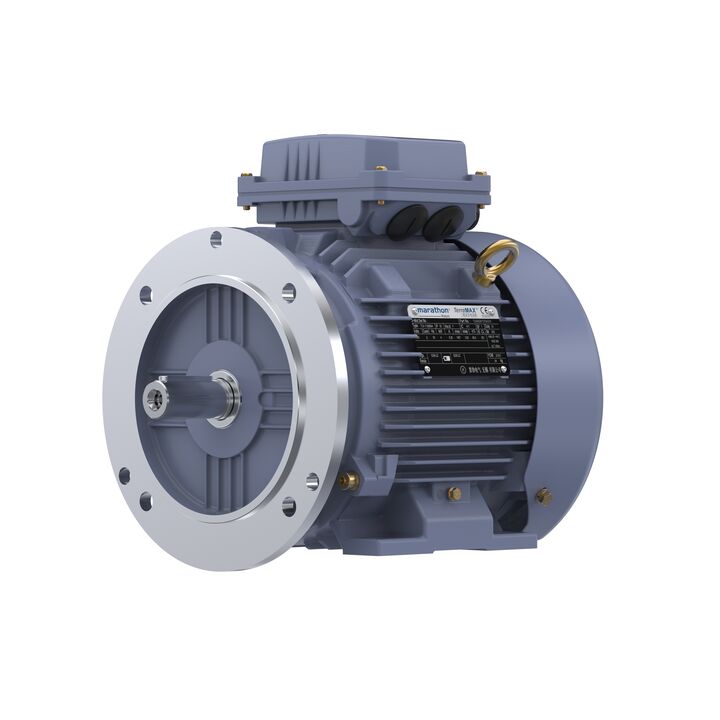 Cast Iron Motor, 5.50 HP, 3 Ph, 50 Hz, 380 V, 3000 RPM, 112M Frame, TEFC