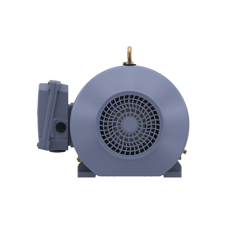 Cast Iron Motor, 5.50 HP, 3 Ph, 50 Hz, 380 V, 1500 RPM, 112M Frame, TEFC